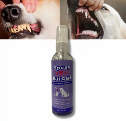 Spray Bucal para Mascotas